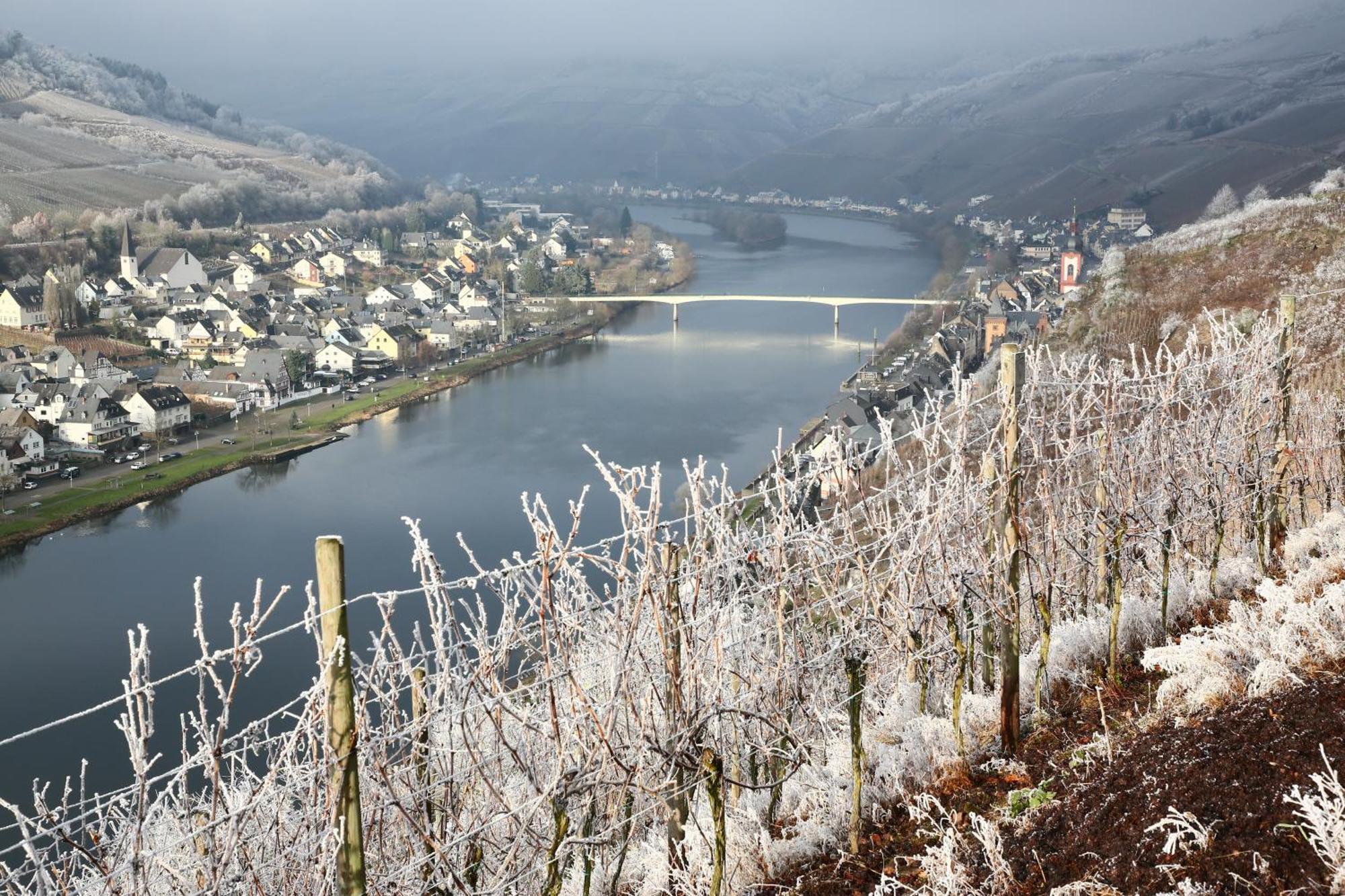 Apartment Ankerplatz Zell an der Mosel